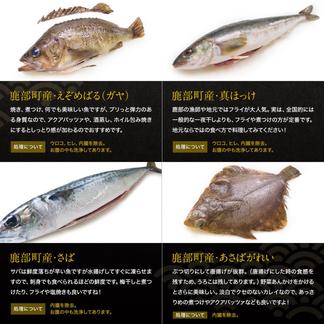 【訳あり】漁師応援、冷凍鮮魚セット（4～4.5kg/4～5魚種） 4～4.5kg　4～5魚種（内容はおまかせになります） 食品販売事業者/お取り寄せ通販