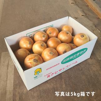 た〜っぷり玉ねぎ5キロ 使い切りサイズ09
