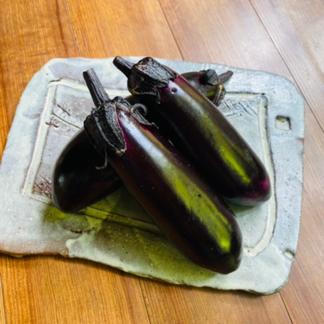 色・艶抜群！朝採り千両なす1kg（約5個～10個） 京都府産 | 野菜/茄子 