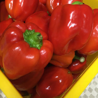 送料無料 訳ありパプリカ3キロ以上 13玉 15玉 野菜 パプリカ 産直アウル 農家から直接野菜などの食材を購入できる産地直送の宅配通販サイト