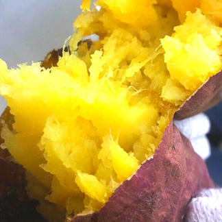 おまかせサイズ 松原ファームの愛情たっぷりサツマイモ 追熟 紅はるか 野菜 さつまいも 産直アウル 農家から直接野菜などの食材を購入できる産地直送の宅配通販サイト