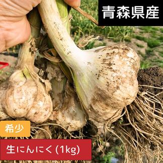 青森県産 生にんにく【令和6年度産】 | 野菜/にんにく 産直アウル 農家 