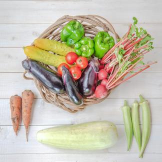 自然栽培 固定種のみ まえむき の 自然と一緒に育てた旬の野菜セット6 7種類 野菜 セット 詰め合わせ 産直アウル Owl 農家から直接野菜 などの食材を購入できる産地直送の宅配通販サイト
