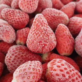 千葉県産 完熟冷凍いちご 1kgパック 急速冷凍 真空包装 果物 いちご 産直アウル Owl 農家から直接野菜などの食材を購入できる産地直送の宅配通販サイト