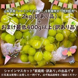 限定販売】山梨県産シャインマスカット（家庭用2kg）+（オマケ400g以上  