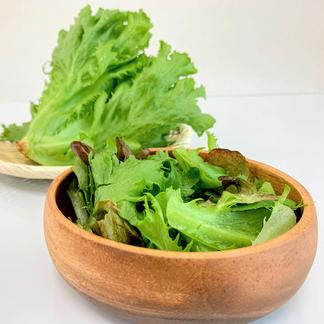 植物工場産　農薬:栽培期間中不使用　フリルレタス 約100g×4袋 野菜/レタス通販