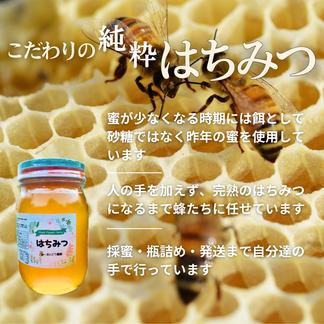 【添加物なし】はちみつ 600g×2瓶 蜂蜜 ハチミツ セイヨウミツバチ 国産 600g×2瓶 はちみつ/はちみつ通販