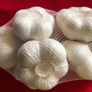 ホワイト6片種青森県産 にんにく（ニンニク） Sサイズ球17kg