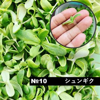 週末発送 数量限定 マイクロリーフ ハーブ ６個セット 各５g 野菜 ハーブ 産直アウル Owl 農家から直接野菜 などの食材を購入できる産地直送の宅配通販サイト