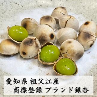久寿2024年新物 久寿 銀杏 ぎんなん 祖父江産 3L 500g（予約開始】2024 