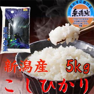 新米　コシヒカリ   無洗米　5キロ   5kg   令和5年産   (送料込み) 5kg 米・穀物/無洗米通販