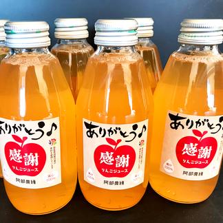 ありがとうを贈る 感謝りんごジュース 福島県産りんご果汁100 12本 阿部農縁 飲料 ジュース 産直アウル 農家から直接野菜などの食材を購入できる産地直送の宅配通販サイト