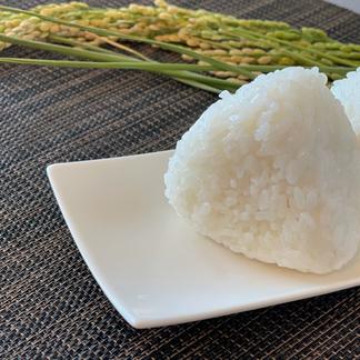 令和3年産米 夢ごこち5kg 米 穀物 米 産直アウル Owl 農家から直接野菜などの食材を購入できる産地直送の宅配通販サイト