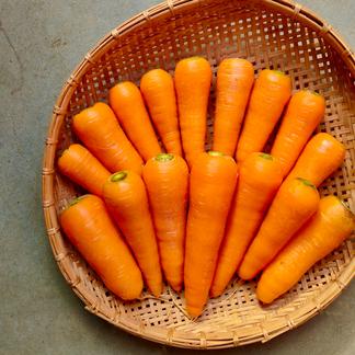 本物のオーガニック 有機西洋人参２ ５ 野菜 人参 産直アウル 農家から直接野菜などの食材を購入できる産地直送の宅配通販サイト