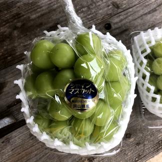 ②岡山県産シャインマスカット4kg