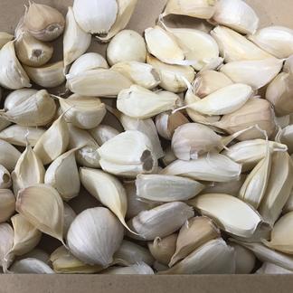 青森県産にんにく訳ありバラ20キロ 