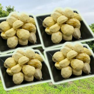 ほっこり甘い！『冷凍むき栗』(250g×4パック)1kg | 果物/栗 産直 