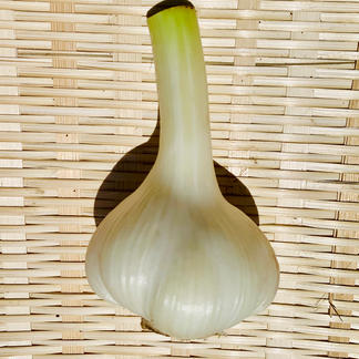 新にんにく（生にんにく）】『農薬・化学肥料・除草剤・防虫剤等不使用 
