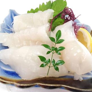 真いかするめ足【10kg】Sサイズ