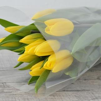 出荷量日本一 新潟県産チューリップ切り花 黄色系10本 北海道 沖縄県配送不可 花 植物 花 植物 産直アウル 農家から直接野菜などの食材を購入できる産地直送の宅配通販サイト