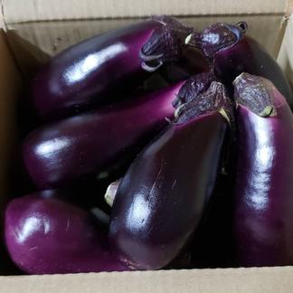 送料無料 訳アリ お買い得 南国高知でつくった高知なす 2kg 野菜 茄子 産直アウル Owl 農家から直接野菜などの食材を購入できる産地直送の宅配通販サイト