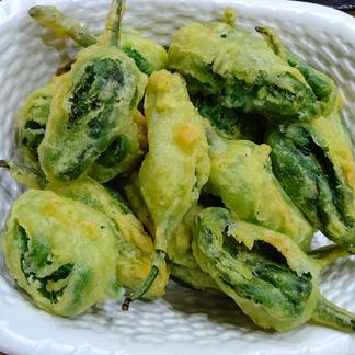 新加入 旨辛な刺激 自然栽培べっぴんやさいのパドロン 約800g 野菜 その他野菜 産直アウル Owl 農家から直接野菜などの食材を購入できる産地直送の宅配通販サイト