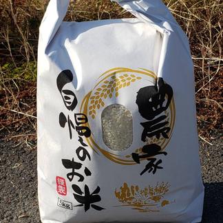 平成29年度 高知県産 コシヒカリ 20kg 受注精米食品 - 米/穀物