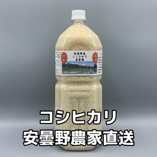令和6年産新米・2Lペットボトル【コシヒカリ白米1.8kg】ウチゴハンを  