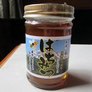はちみつ 百花蜜 600g×1瓶 《600g》国産 純粋蜂蜜 （美濃蜂蜜 百花蜜 