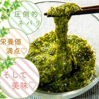 おすすめ 九州玄界灘産 宗像のあかもく80gパック 魚介類 海藻 産直アウル Owl 農家から直接野菜などの食材を購入できる産地直送の宅配通販サイト