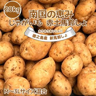 新じゃがいも 送料無料 20kg M~3Lサイズ混合 赤土 南国の恵み | 野菜 