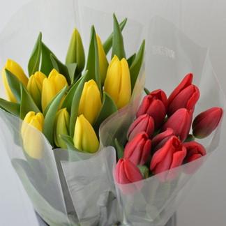 初出品です 12月27日 火 発送 新潟県産チューリップ切り花2色ミックス本 赤系 黄系 北海道 沖縄県配送不可 花 植物 花 植物 産直アウル 農家から直接野菜などの食材を購入できる産地直送の宅配通販サイト