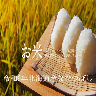 北海道産米 令和6年産 新米 白米 減農薬 ななつぼし 20