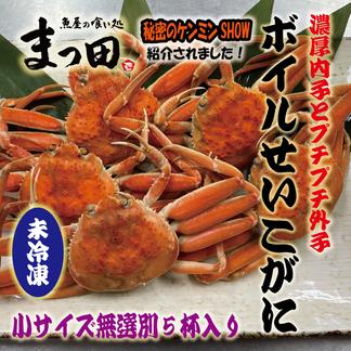 お歳暮 茹でたて直送 無選別せいこがに セイコガニ 香箱がに 日本海産 姿 大 未冷凍 ５尾 魚介類 カニ 産直アウル 農家から直接野菜などの食材を購入できる産地直送の宅配通販サイト