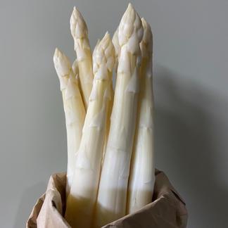 ２種類のアスパラを食べ比べ ホワイト グリーンアスパラガス 2l L 900g 野菜 アスパラガス 産直アウル 農家から直接野菜などの食材を購入できる産地直送の宅配通販サイト