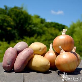 淡路島産玉ねぎfeat.新じゃがいも食べ比べ詰め合わせ　合計1.6kg(たまねぎ800g・じゃがいも800g) 玉ねぎ800g・新じゃがいも2種(各400g) 野菜/セット・詰め合わせ通販