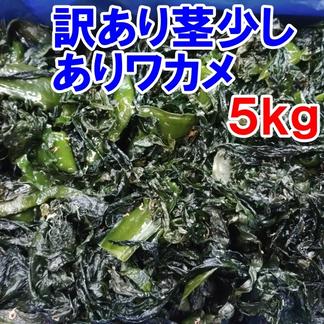 塩蔵わかめ 5kg入 宮城県産 塩蔵ワカメ B級品 訳あり品 小エビや 