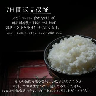 【令和6年産新米予約】特別栽培米 滋賀県産きぬむすめ 玄米10kg「縁起の竜王米」　十代目松治 玄米10kg 米・穀物/玄米通販