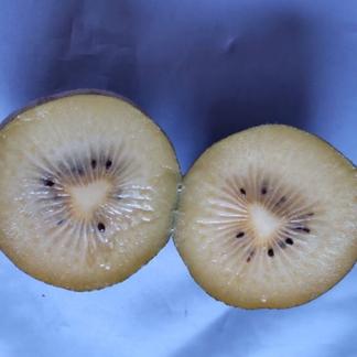 まるひろ農園のキゥイフルーツ 果物 キウイフルーツ 産直アウル 農家から直接野菜などの食材を購入できる産地直送の宅配通販サイト