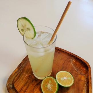 自然栽培 まろやかな酸味 農薬 肥料を使わずに育てた大分県特産の かぼす 3kg ｂ品も含む無選別品 果物 柑橘類 産直アウル Owl 農家から直接野菜などの食材を購入できる産地直送の宅配通販サイト