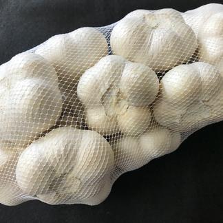新物　青森県にんにく6キロML 新物青森県にんにく6キロ ML
