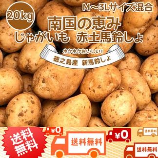 新じゃがいも 送料無料 20kg M~3Lサイズ混合 赤土 新じゃが 九州鹿児島徳之島産 にしゆたか 贈物 ギフト 長期保存 箱買い 南国野菜 南の島 産地直送 馬鈴薯 南国の恵み 新ばれいしょ じゃが芋【アウルの日】 20kg 野菜/じゃがいも通販