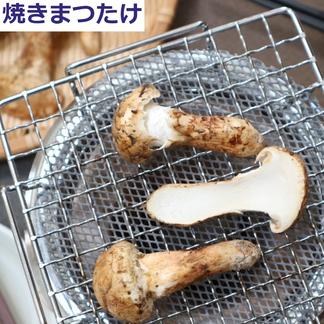 国産天然松茸】100g前後(90~120g) 山形産 秋はきのこ、きのこは 