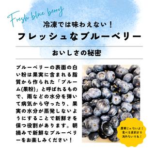 売り切れました 外れ