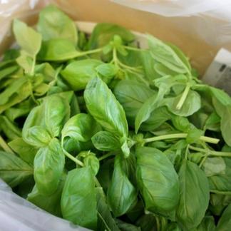 フレッシュ！沖縄県産 スイートバジル【1kg】 | 野菜/ハーブ 産直 