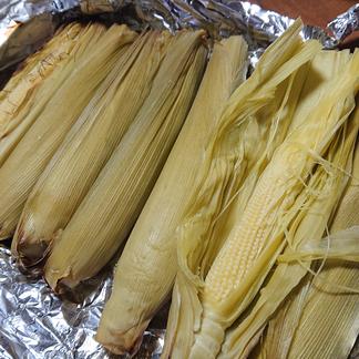 5kgもぎたて早だしヤングコーン ベビーコーン ミドルコーン 5kg ４０ ６０本程度 野菜 とうもろこし 産直アウル 農家から直接野菜などの食材を購入できる産地直送の宅配通販サイト
