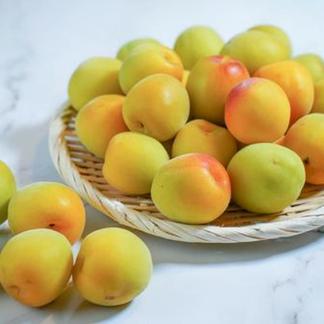 和歌山県産紀州南高梅10キロ完熟梅キズありサイズ混合