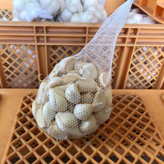わけあり品 青森県産ホワイト六片種にんにく バラ1kg( 500g×2) | 野菜 