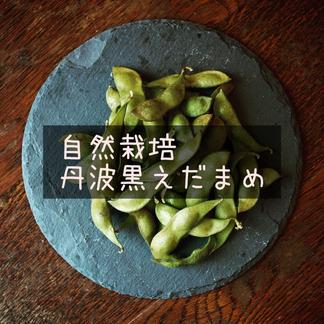 予約 自然栽培 丹波黒枝豆 サヤのみ４kg 農薬 肥料不使用 兵庫県産えだまめ 野菜 豆類 産直アウル 農家から直接野菜などの食材を購入できる産地直送の宅配通販サイト