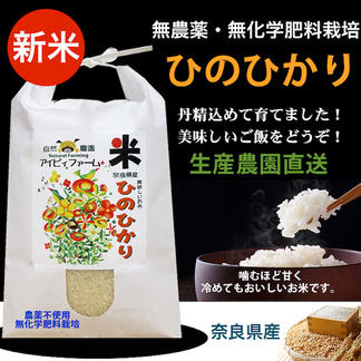 玄米 令和1年産 無肥料無農薬ひのひかり